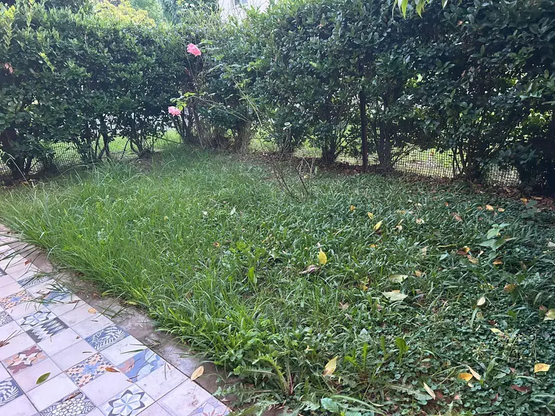 Foto 19