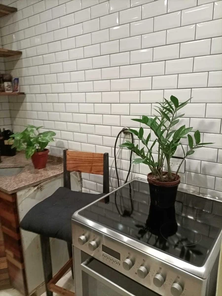 Foto 24