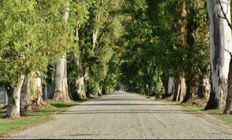 Terreno en venta · General Rodriguez, GBA Oeste, Provincia de Buenos Aires