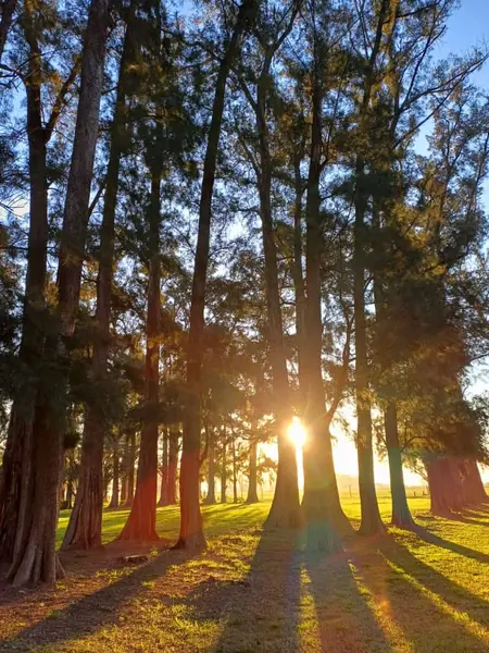ccc8980e-a748-483c-bf3b-8d15fd0f9666.jpeg