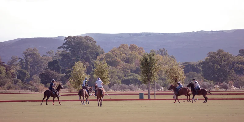 Polo-2.jpg