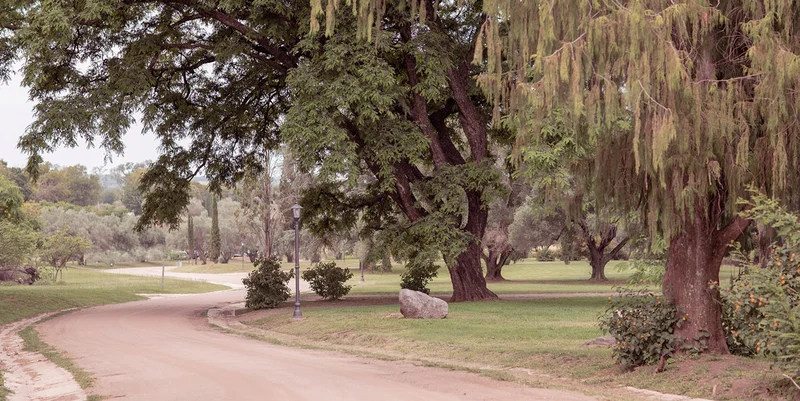 BarrioCampo-2.jpg