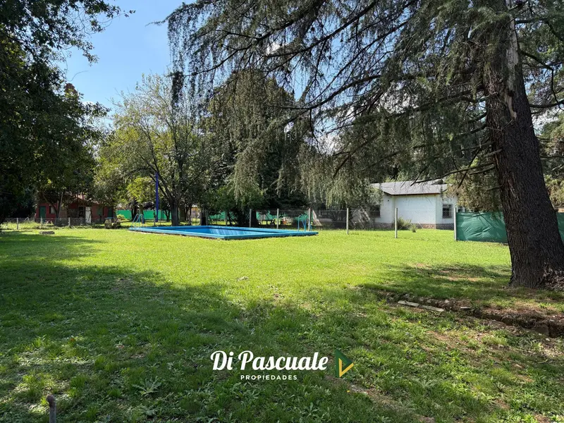 Foto 7