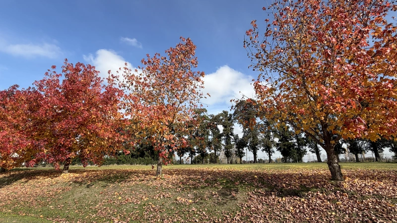 Terreno en venta · Manzanares, Pilar, GBA Norte, Provincia de Buenos Aires Terreno en venta · Manzanares, Pilar, GBA Norte, Provincia de Buenos Aires