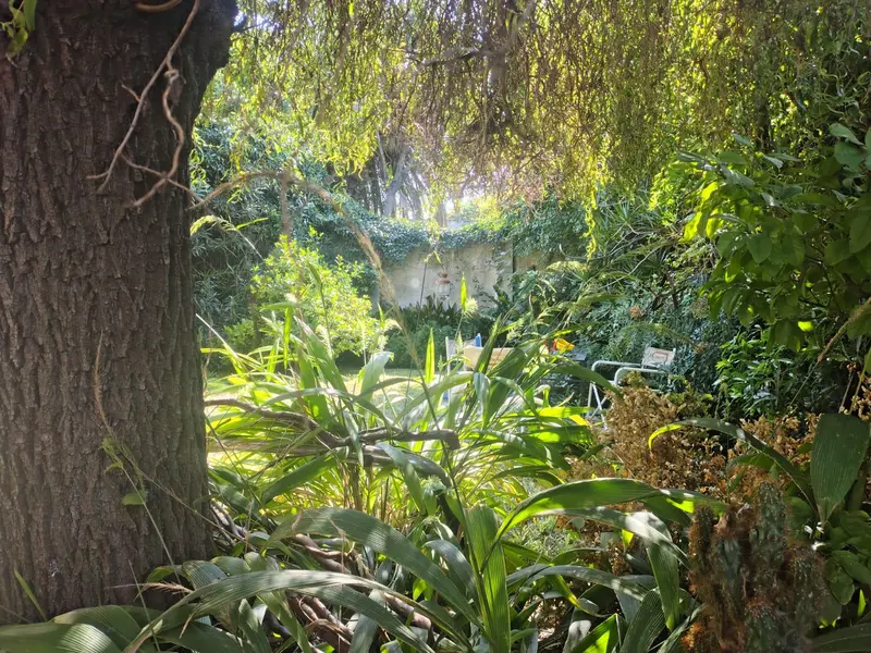 Foto 42
