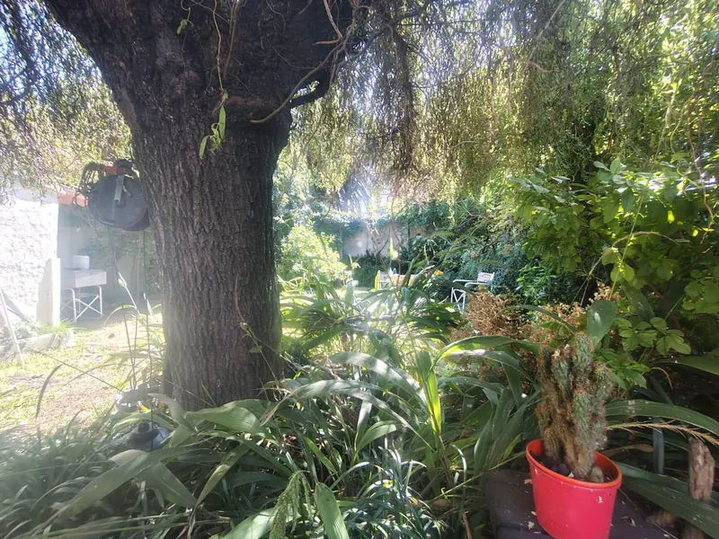 Foto 40