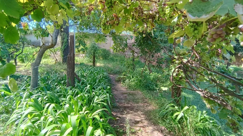 Foto 13