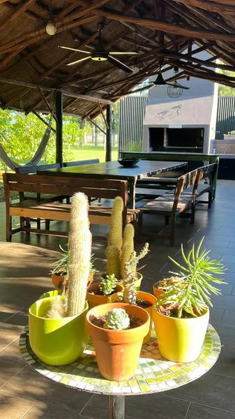 Foto 13