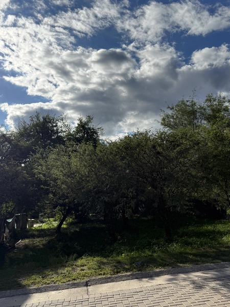 IMG_1274.jpeg