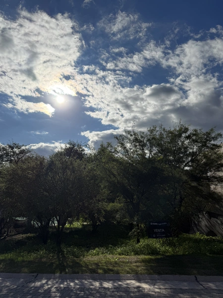 IMG_1271.jpeg