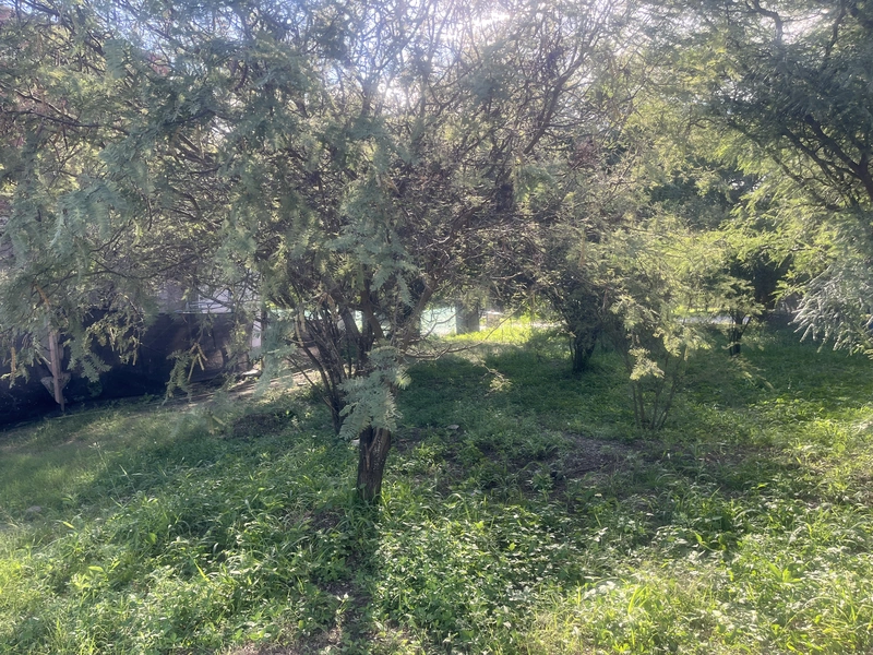 IMG_1195.jpeg