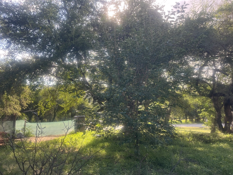 IMG_1194.jpeg