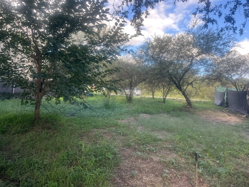 IMG_1192.jpeg