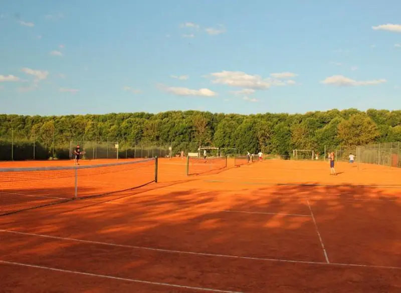 foto canchas.jpg