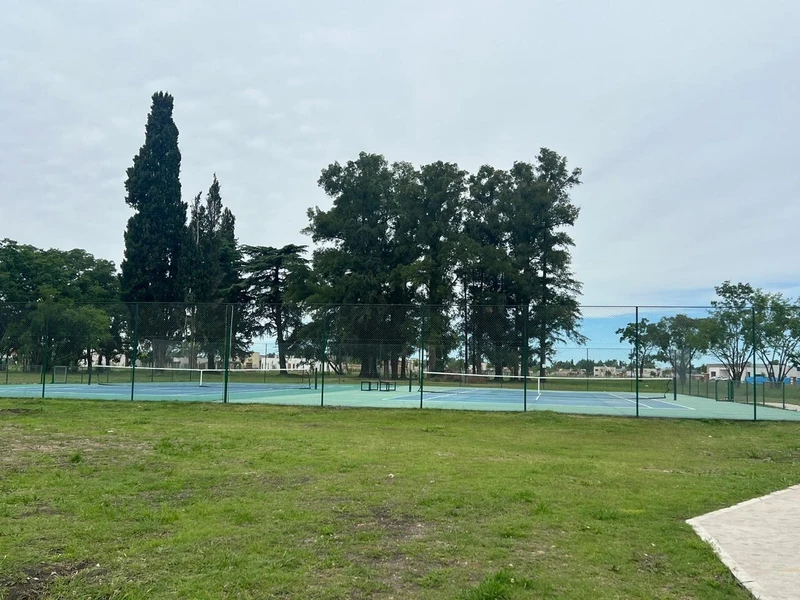 Foto 19