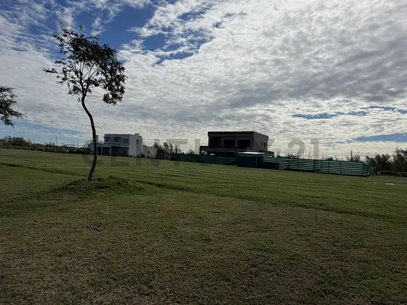 Foto 16