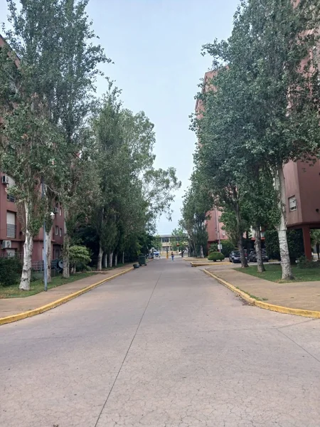 5ecf0e22-0a4a-487e-a21a-e986b269c6b5.jpg