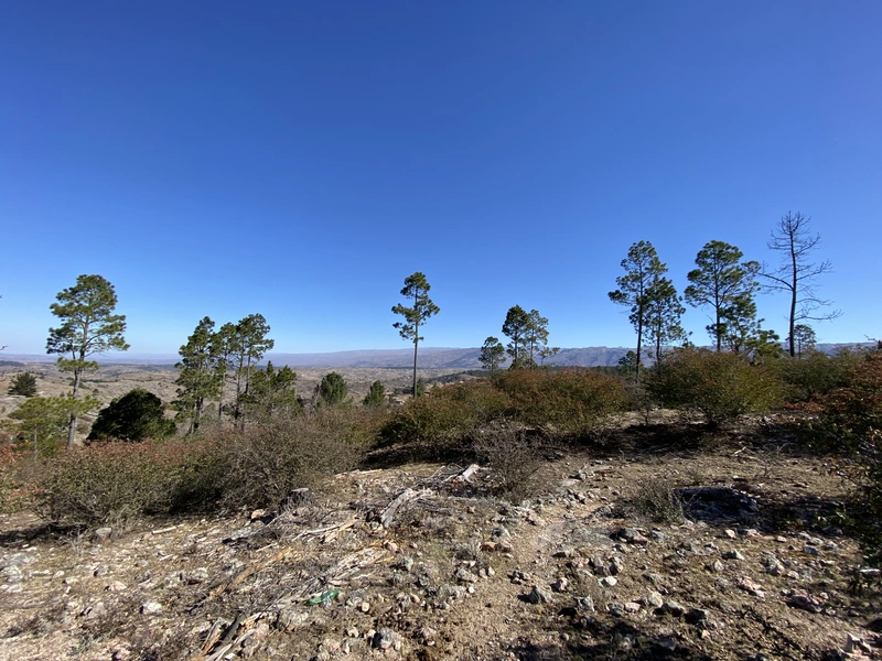 Terreno en venta · Villa Berna, Calamuchita, Córdoba