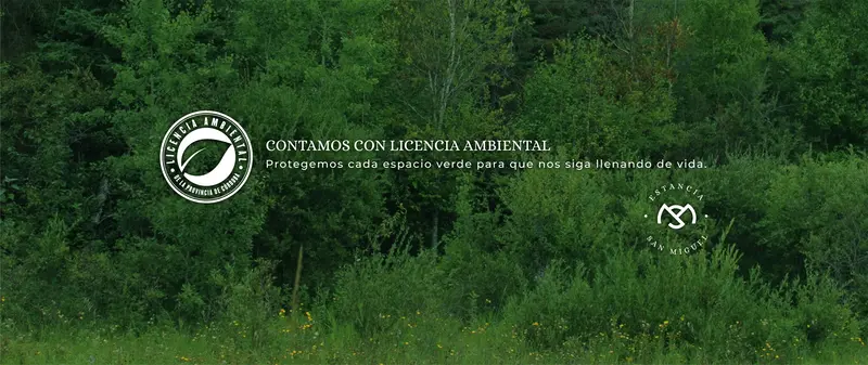 foto-3