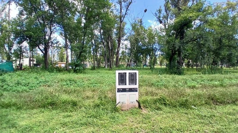 20260311_142831.jpg
