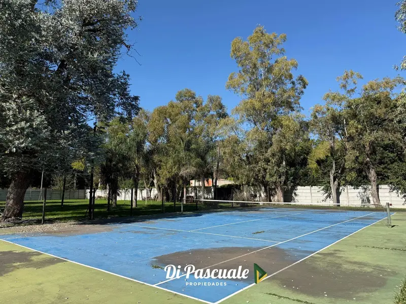 Foto 7