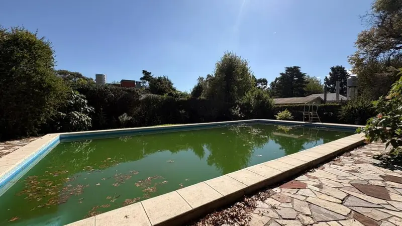 Foto 21