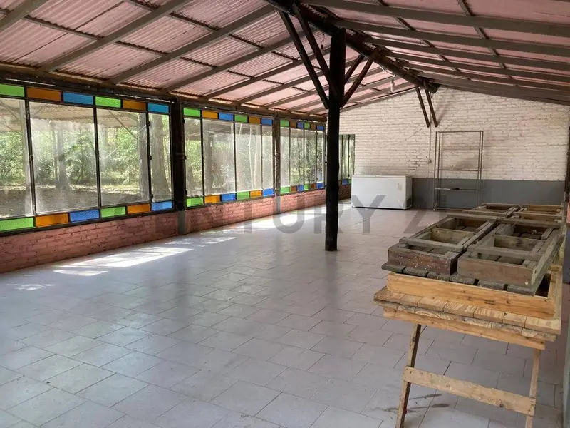 Foto 19