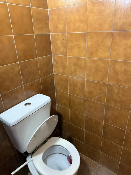E6C686A2-D401-473E-A9B0-34908A0D0A79_1_105_c.jpeg