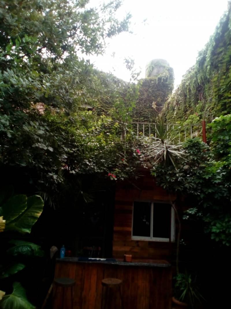 Foto 6