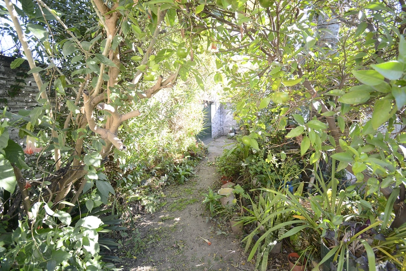 _DSC9257.JPG