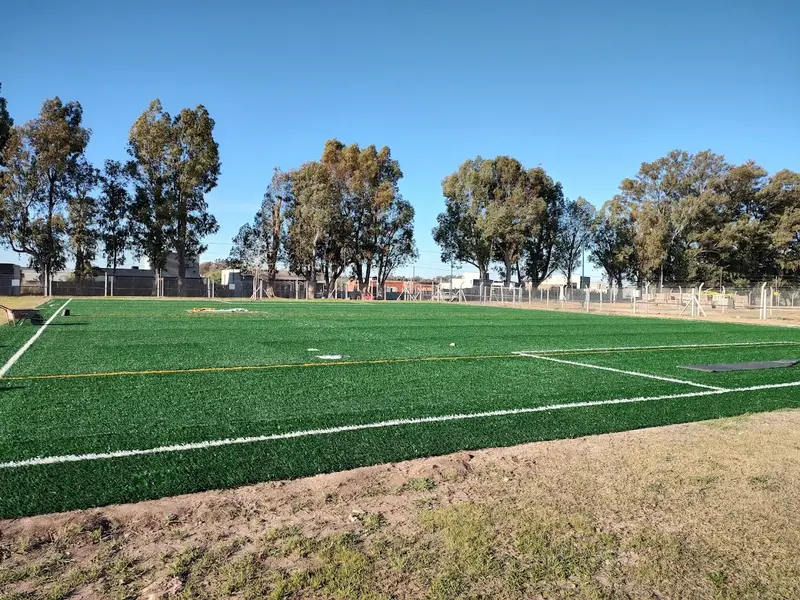 Foto 7