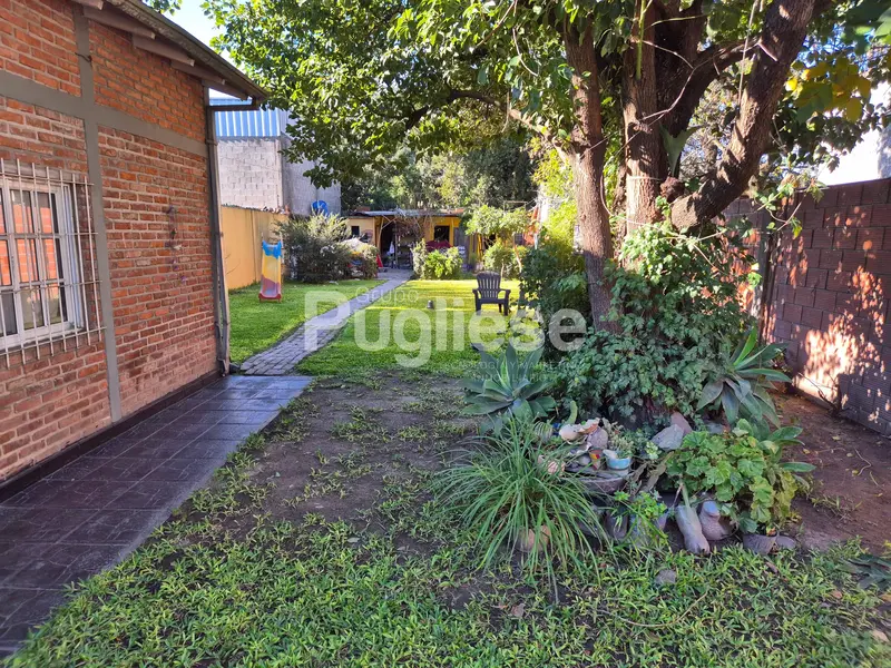 Foto 15