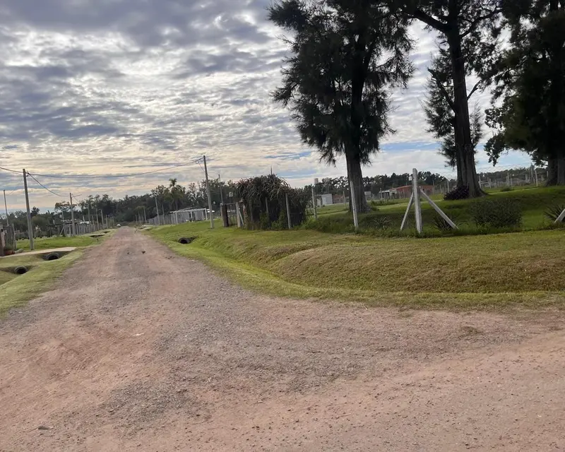foto-4