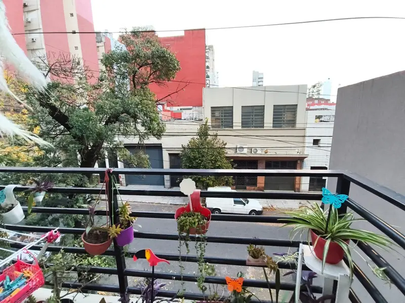 Foto 7