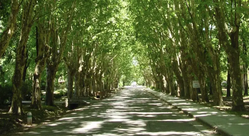 Foto 13