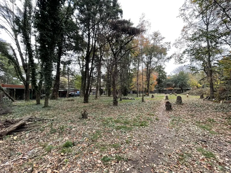 Foto 20