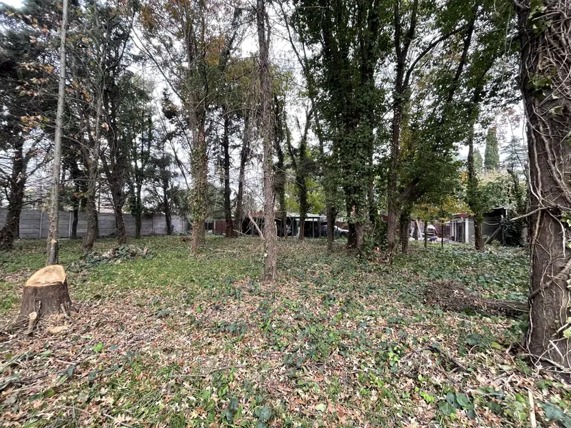 Foto 17