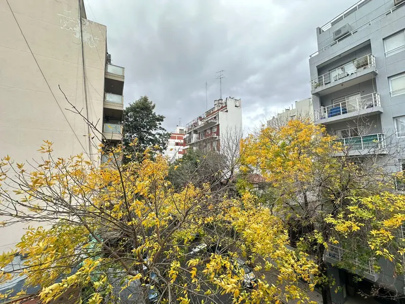 Departamento en alquiler · Palermo, CABA