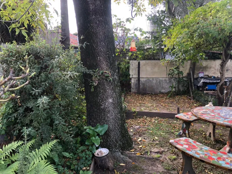 Foto 14