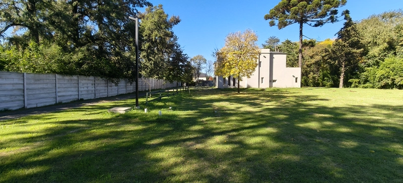 787645.jpg