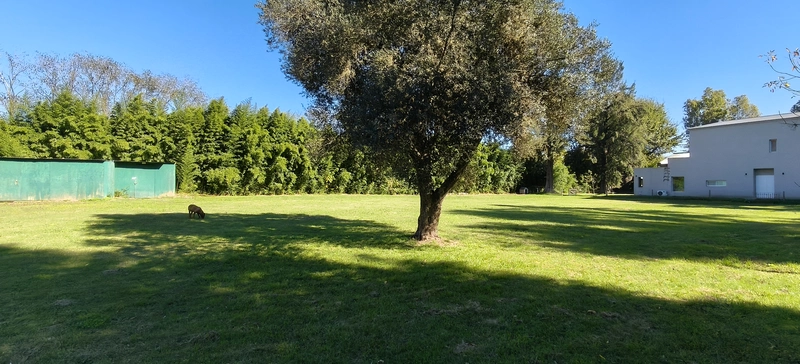 787644.jpg