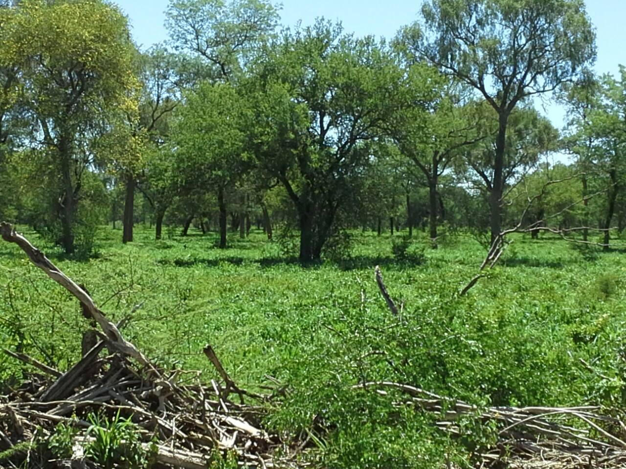 Terreno en venta · Taco Pozo, Río Seco, Córdoba