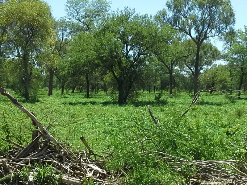 Terreno en venta · Taco Pozo, Río Seco, Córdoba