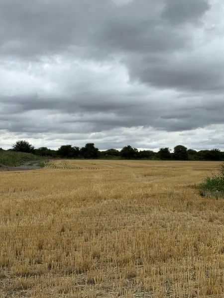 Terreno en venta · Estancia Las Margaritas, Juarez Celman, Córdoba
