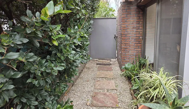 Foto 51