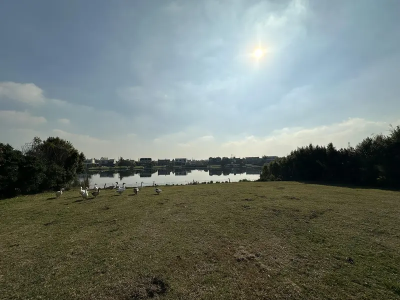 Foto 19
