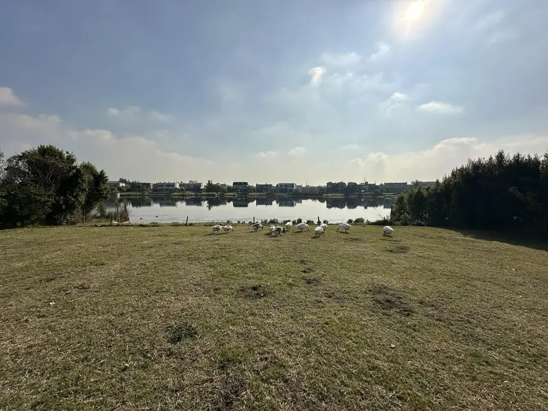 Foto 13