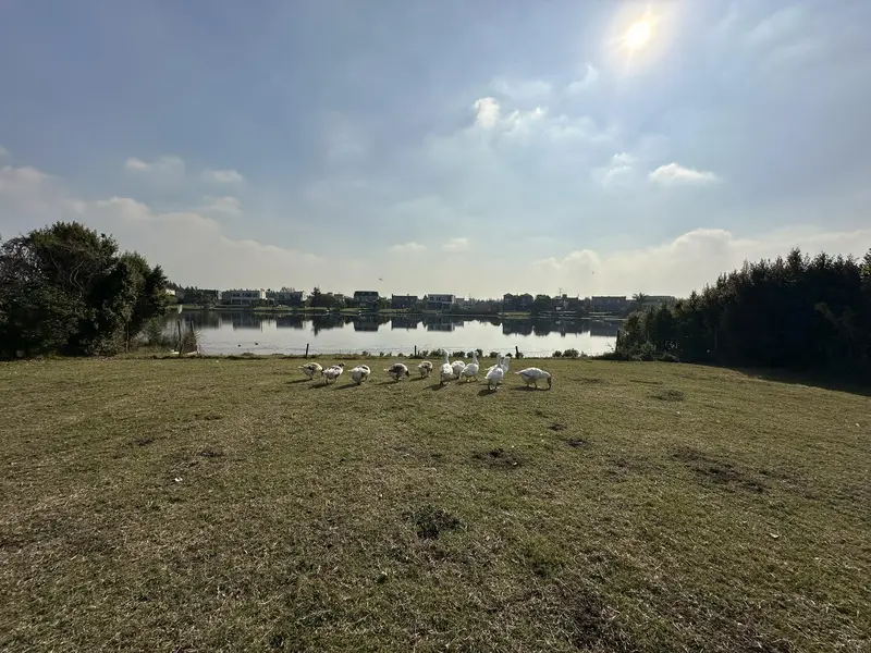 Foto 12