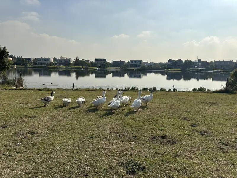 Terreno en venta · San Francisco, Villanueva, Tigre, GBA Norte, Provincia de Buenos Aires