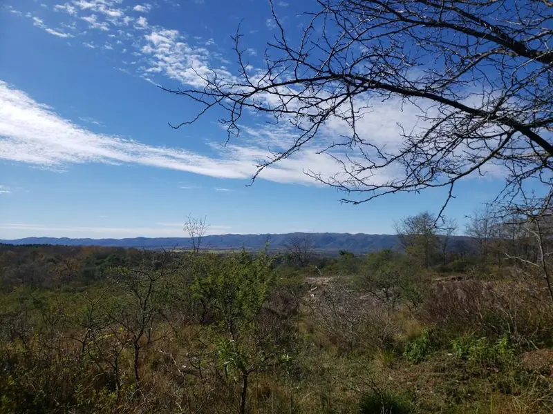 Foto 12
